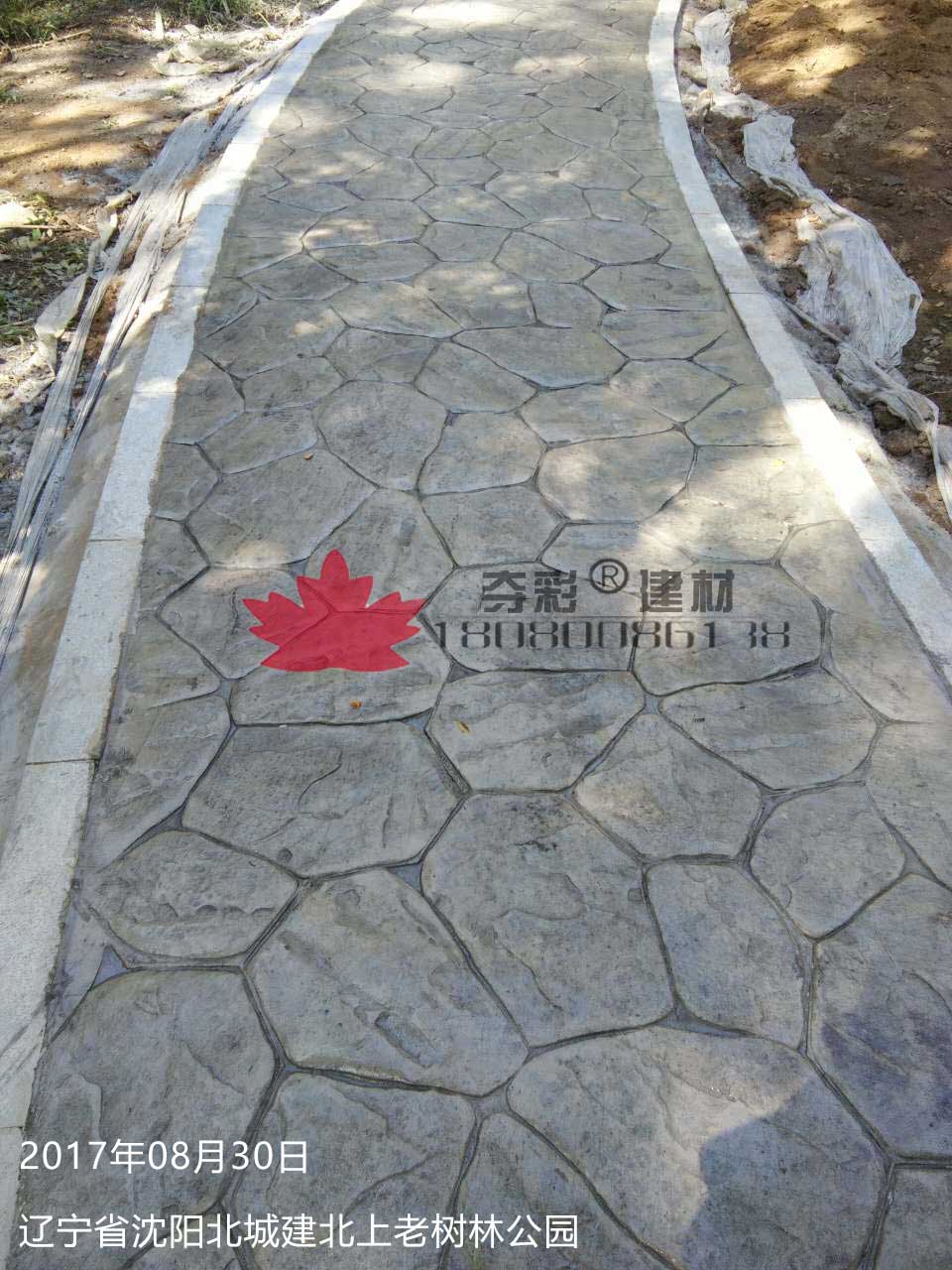 沈陽北城建北上老樹林公園壓